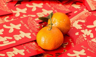 年桔过完年后怎么处理 年后金桔怎么处理