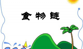 食物链的顶端是什么 食物链的顶端是什么姐姐是什么意思
