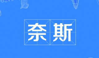耐斯是什么意思（奈斯是什么意思网络用语）