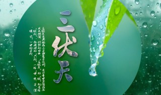 2021年头伏是哪天? 2021年头伏是哪天多点下单农商银行卡结算优惠