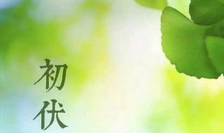 2021年初伏是哪一天 2021年初伏是哪一天开始哪天立秋