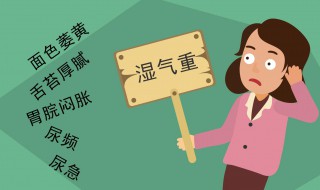 湿气是什么（湿气是什么样子的图片）
