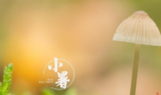 2021小暑是什么时间（2021年什么时间小暑）