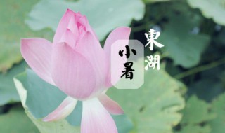 2021年小暑时间是几月几号 2021年的小暑是几月几号