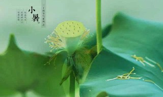 2021小暑节气的禁忌 2021年小暑节气