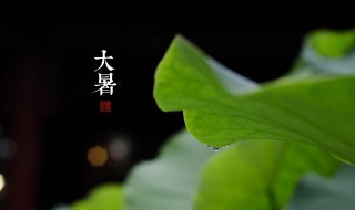 小暑后面是什么节气 小暑后边是什么节气