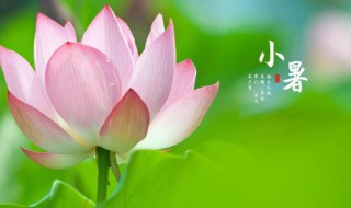 2021年小暑是阳历几月几日（2021年的小暑是几月几日）