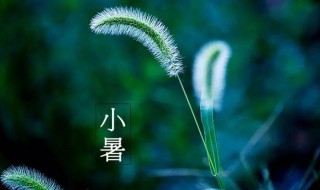 2021年小暑是什么时候 2021年小暑具体时间