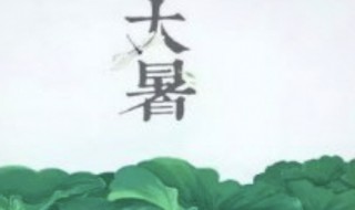 大暑是哪一天2021（大暑是哪一天代表什么意思）