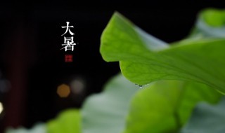 关于大暑的谚语有哪些 大暑谚语的意思是什么