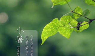 小暑下雨意味着什么（小暑天下雨有什说的）