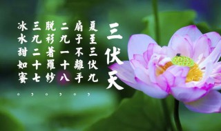 初伏热还是中伏热（中伏热还是末伏热）
