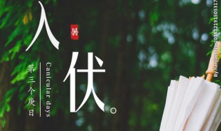 入伏时间怎么算（入伏怎么算出来的 天津）