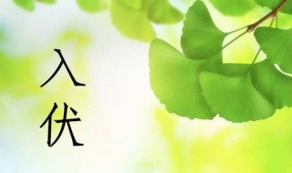 2021哪天入伏哪天出伏 2021 哪天入伏