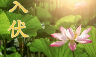 入伏时间2021（入伏时间2022）