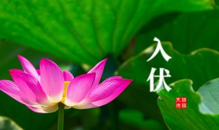 二零二一年入伏时间（二零二一年什么时候出伏）