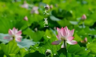掰一掰大暑节气的民俗和养生（大暑节气有什么讲究）