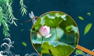 大暑养生要点离不开粥和水 大暑煮什么粥