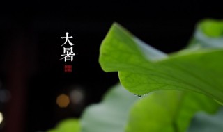 大暑是最热的一天吗 大暑是最热的一天吗为什么