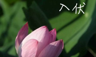 2021年头伏是哪一天（2021年头伏是哪一天开始）