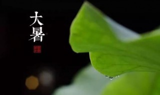 2021年大暑是什么时候 2021年大暑具体时间
