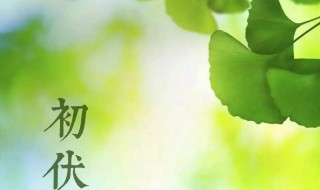 初伏有什么讲究 初伏这一天有什么讲究吗