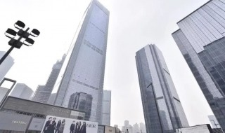 ifs是什么意思（长沙ifs是什么意思）