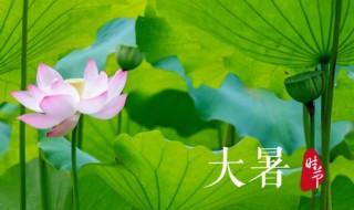 2021年大暑几日几时几分 2021年立春几点几分