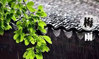 杭州梅雨季节是几月份 杭州梅雨季节是几月份?