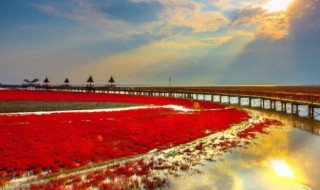 国家的实质是 国家的实质是什么