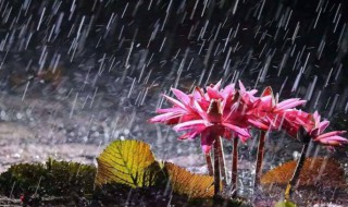 安徽梅雨季节是几月份 安徽梅雨季节是几月份啊