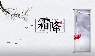 霜降节气习俗介绍最新（霜降节气的俗语）