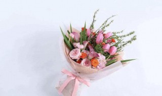 教师节送什么花好（教师节送什么花好最合适）