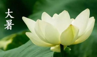 24节气大暑是什么意思（24节气里的大暑是什么意思）