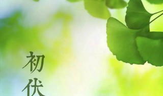 2021什么是三伏天（2021年三伏天是指哪些天）