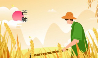 芒种做什么农活 芒种农民做什么