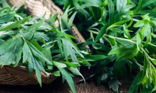 什么人不能用艾草枕头 艾草对男人性功能