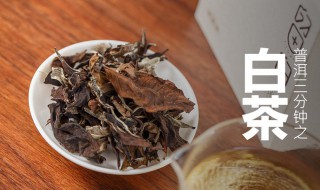 寿眉白茶简介（寿眉白茶多少钱一斤）