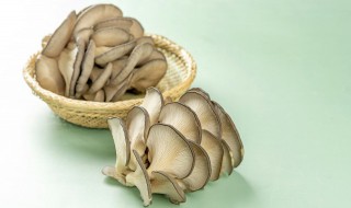 平菇如何清洗（平菇怎么清洗）