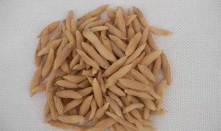 麦冬孕妇能吃吗 麦冬孕妇可以吃吗它的功效