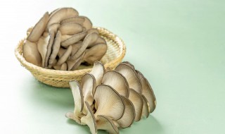 蘑菇发霉能吃吗（蘑菇发霉能吃吗会中毒吗）