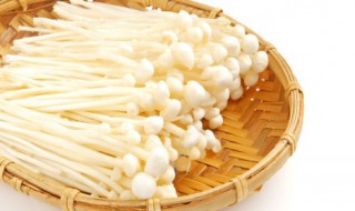 金针菇根部能吃吗（金针菇的根儿可以吃吗?）
