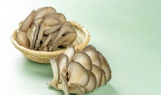 蘑菇过夜能吃吗 蘑菇过夜能吃吗有毒吗