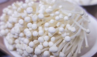 金针菇发黄还能吃吗 金针菇发黄还能吃吗有毒吗