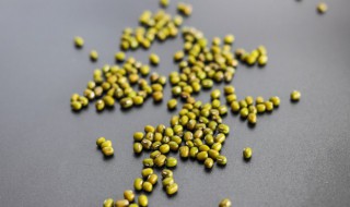 绿豆发芽了还能吃吗（绿豆发芽了还能吃吗 会不会有毒）