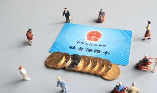 怎样查社保缴费情况（社保缴费怎么网上缴费）