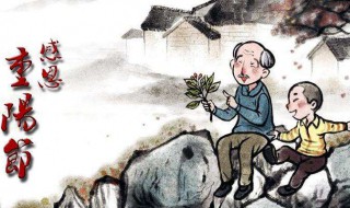 重阳节的感慨 重阳节感慨父母老了,自己也老了