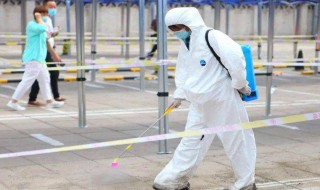 白蚊防治消杀方法 白蚊防治消杀方法有哪些