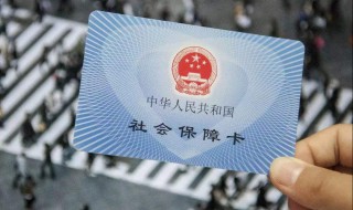 如何交纳社保（如何交纳社保费用）