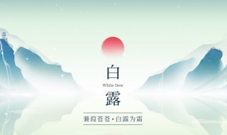 白露过后可以种什么蔬菜 白露过后能栽树吗